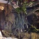 店內(nèi)做一顆假樹圖