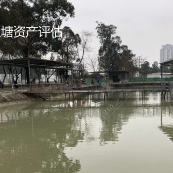 彭水征用魚塘價值評估,魚塘價值評估費用