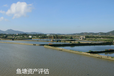上海魚塘經(jīng)營損失評估收費標(biāo)準(zhǔn)魚塘經(jīng)營損失評估