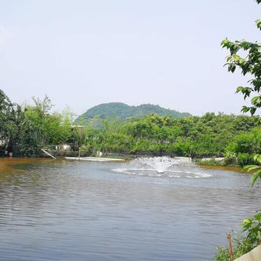 贵州鱼塘拆迁征收资产评估收费标准鱼塘污染损失评估
