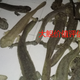 魚塘經營損失評估圖