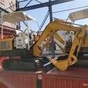 佛山生產(chǎn)電動(dòng)挖掘機(jī)市場(chǎng)行情