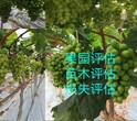 陕西森林花卉苗圃资产评估的法律作用图片