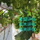 安徽果树评估图