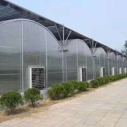 扬州农业温室大棚阳光板厂家