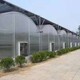 青岛农业温室大棚阳光板实体厂家图