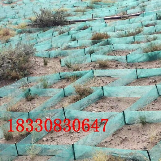 金昌防风阻沙网厂家供应,尼龙/高密度聚乙烯