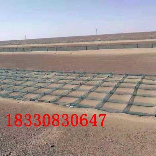 巴彦淖尔高速公路防沙网厂家,防风阻沙网