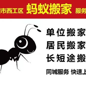 洛阳正规搬家不用动手透明收费,洛阳蚂蚁搬家公司