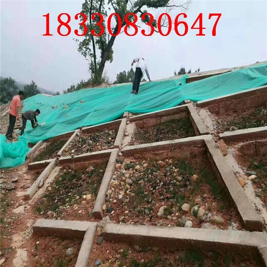 白山無紡布防塵網(wǎng)批發(fā),防塵網(wǎng)廠家發(fā)貨快
