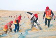 阿拉尔防风阻沙网规格,HDPE/沙漠治理