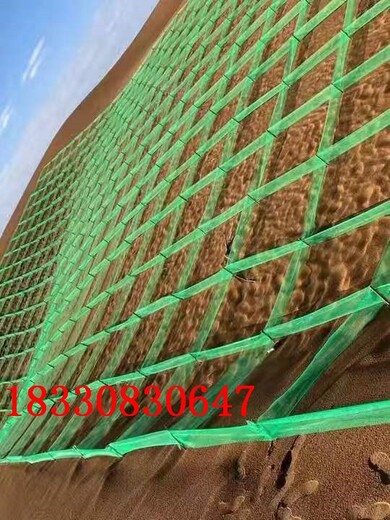 泉州新型HDPE防沙网价格,沙障/防沙障