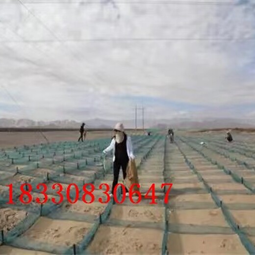 赣州新型HDPE防沙网价格,隔沙障厂家定制