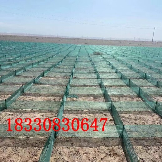 黃南防風阻沙網規格,HDPE/沙漠治理