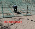 昌都防风阻沙网厂家现货,HDPE/沙漠治理