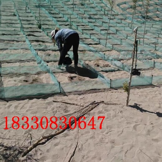 鄂尔多斯新型HDPE防沙网厂家,阻沙栅栏隔离网