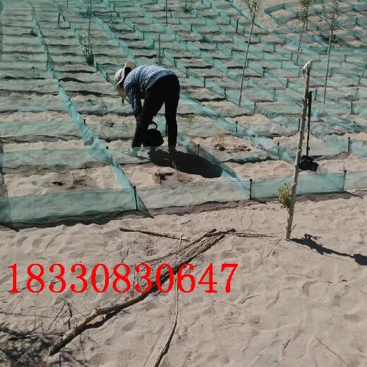 葫蘆島沙漠治理防沙網(wǎng)廠家,隔沙障廠家定制