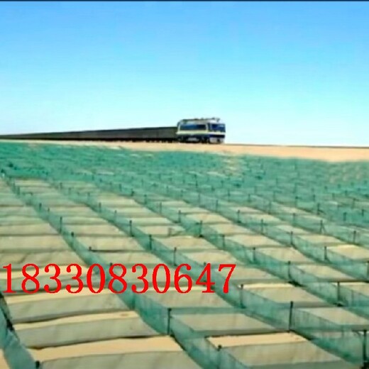 泰安新型HDPE防沙网价格,防风固沙网
