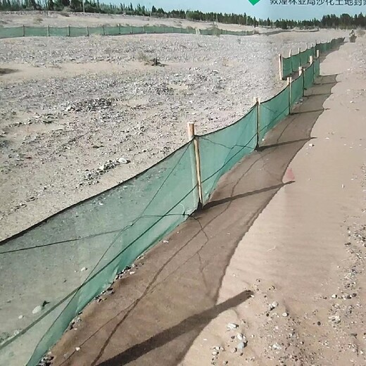 甘南防风阻沙网厂家供应,新型HDPE+防沙网