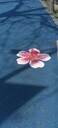 環(huán)氧地坪施工驗(yàn)收標(biāo)準(zhǔn),環(huán)保自發(fā)光透水路面