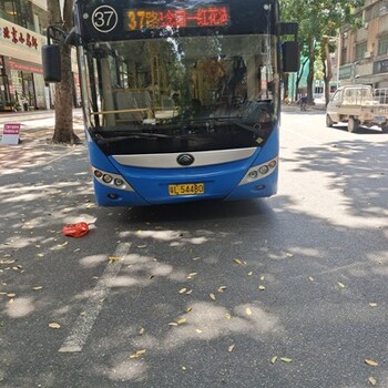 惠州承接惠州市公交车广告包设计惠城公交车广告公司