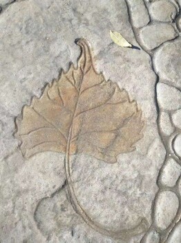 福建南平景觀水泥壓模地坪