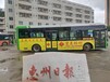 獨家代理惠州市區線路,定制惠州公交車車身廣告價格
