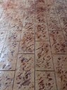 天門市小區(qū)道路鋪裝5公分壓?；炷恋仄?，藝術(shù)壓花路面現(xiàn)澆流程