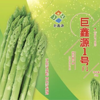 內蒙古巨鑫源一號報價,綠蘆筍苗種苗