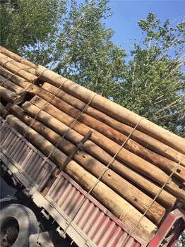 烟台供应老榆木板材批发