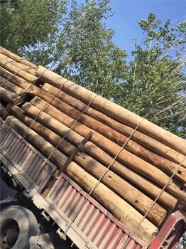 大連老榆木板材供應(yīng)商