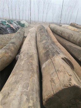 泰州供应老榆木板材厂家