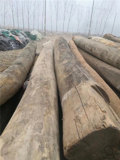 天津老榆木板材多少钱一立方