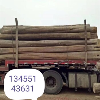 杭州供应老榆木板材一般价位