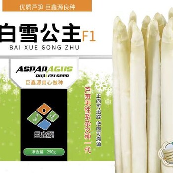 進(jìn)口蘆筍,江西白雪公主F1品種