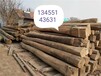佛山出售老榆木板材多少钱一立方