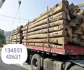 廣州出售老榆木板材批發