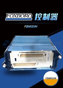 北京FBM233控制器供应