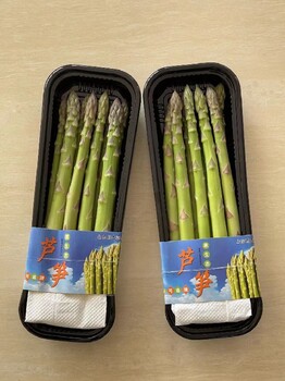 昌平綠寶石F1多少錢一斤,進(jìn)口白蘆筍種苗生產(chǎn)基地
