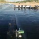EVA防水板圖