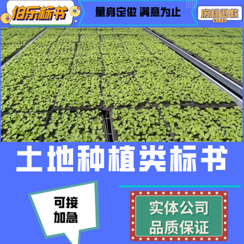 平頂山代做標書汽車維修類標書排版,個性化定制,伯樂標書