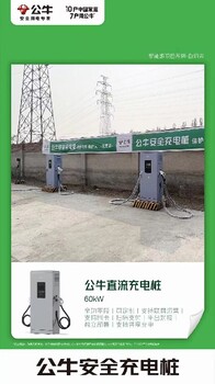 广东深圳60KW公牛充电桩