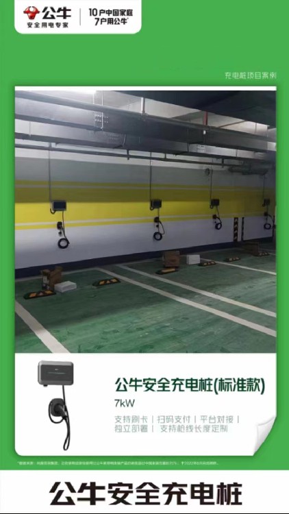 广东阳江7KW公牛充电桩