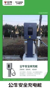 越秀30KW公牛充电桩批发