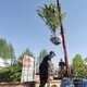 綠化新品種圖