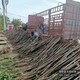 廠家批發(fā)圖