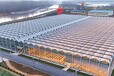周口阳光板温室建造温室骨架厂实体工厂