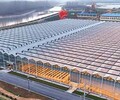 喀什玻璃温室建造温室骨架厂实体工厂