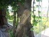 水泥仿树结,木竹护栏雕塑