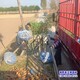 天錦園林苗圃圖
